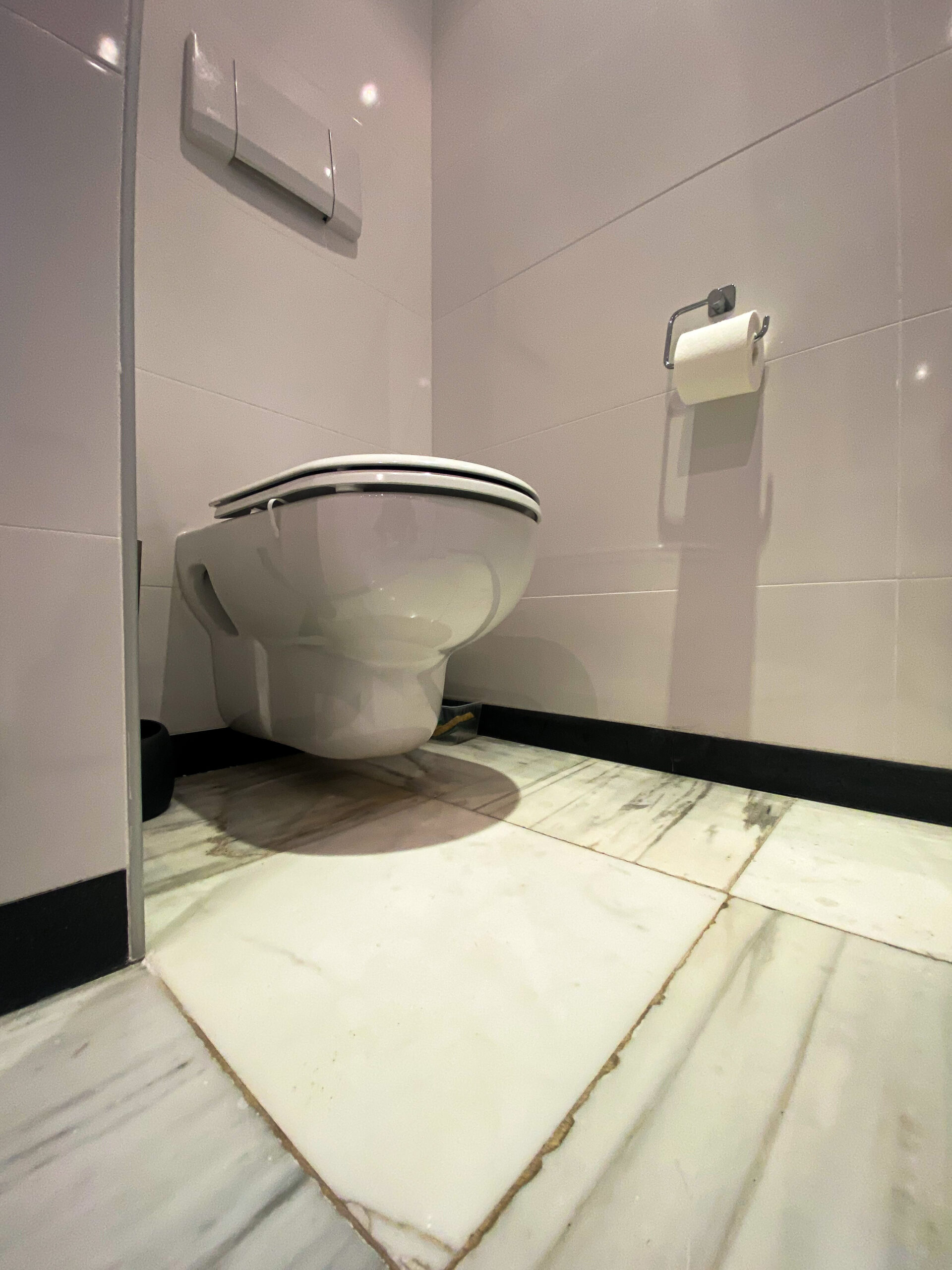 Rénovation toilette suspendu